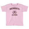 howards Toddler T-shirt