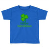 little leprechaun Toddler T-shirt