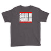 salud mi familia  fast 7 vin auto tuning diesel paul walker kult fun l Youth Tee