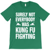 Surely Not Everybody Was Kung Fu Fighting T-Shirt