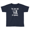 you have died of dysentery Toddler T-shirt