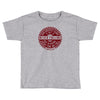 never falling confucius Toddler T-shirt