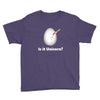 is it Unicorn Youth Tee