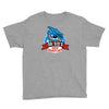 dr sid's Youth Tee