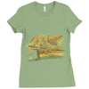 chasing windmills Ladies Fitted T-Shirt