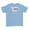 train insaiyan gym training to beat goku or krillin dbz dragon ball z Youth Tee
