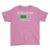 low battery introvert pun humor Youth Tee