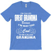 I&rsquo;m Called Great Grandma Because I&rsquo;m Way Too Cool To Be Called Gra T-Shirt