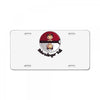 schrodinger ball License Plate