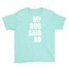 my dog said no! Youth Tee