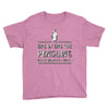 one by one penguins stealing Youth Tee