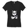 Kung Fu Panda Women's V-Neck T-Shirt