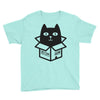 cats love boxes Youth Tee