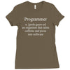 programmer an organism that turns caffeine and pizza into software t s Ladies Fitted T-Shirt