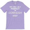 perfect cornish T-Shirt