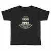premium vintage 1993 classic perfectly aged limited edition Toddler T-shirt