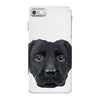 Dog2 iPhone 7 Case