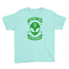destroy the patriarchy Youth Tee