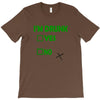 im drunk T-Shirt