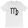 February Girls Are Sunshine Mixed With A Little Hurricane T-Shirt