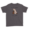 dam Youth Tee