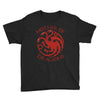 mother of dragons Youth Tee