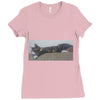 20170307 214809 1 Ladies Fitted T-Shirt