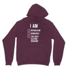 republican, democrat, busy slaying dragons fantasy Hoodie