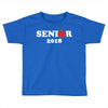Senior 2018 Toddler T-shirt