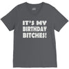 it's my birthday b...hes V-Neck Tee