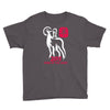 2015 year of the goat mandarin chinese Youth Tee