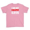 i'm not insane my mother Youth Tee