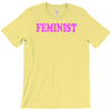 feminist T-Shirt