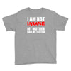 i'm not insane my mother Youth Tee