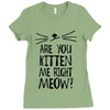 are you kitten me girls Ladies Fitted T-Shirt