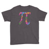 spring pi tshirts  flowery colorful pi day gifts Youth Tee