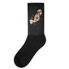 discovery Socks