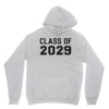 class of 2029 Youth Hoodie