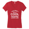 this is what a cool grandma looks like Women's V-Neck T-Shirt