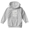 om nom nom Youth Hoodie