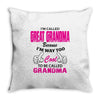 I&rsquo;m Called Great Grandma Because I&rsquo;m Way Too Cool To Be Called Gra Throw Pillow