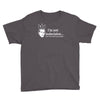 i'm not indecisive my mind Youth Tee