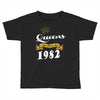 queens are born in 1982 Toddler T-shirt