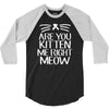 are you kitten me 3/4 Sleeve Shirt