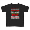 santa only comes once a year grandad is always here to cheer Toddler T-shirt