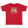 dreamer bear Toddler T-shirt