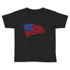 united states of america Toddler T-shirt