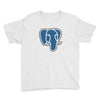 fahrie77 Youth Tee
