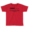 Feminist Noun Toddler T-shirt