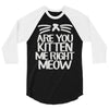 are you kitten me right meow 3/4 Sleeve Shirt